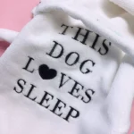 Chihuahua Bathrobe - Image 5