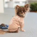 Pawda Knit Chihuahua Sweater