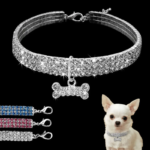 Crystal Chihuahua Collar & Leash Chihuahua Shop Pro