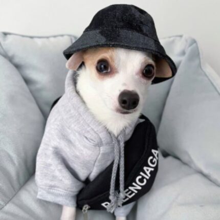 Pawlenciaga Bag for Chihuahuas