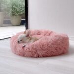 Plush Chihuahua Bed Donut Delight Chihuahua Bed