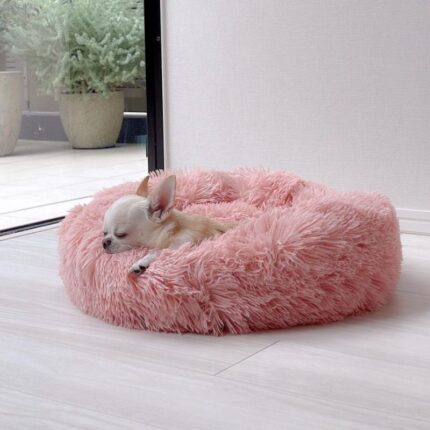 Plush Chihuahua Bed Donut Delight Chihuahua Bed