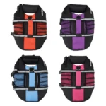 Sporty Chihuahua Life Vest - Image 7