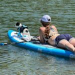 Sporty Chihuahua Life Vest chihuahuapro.com chihuahua shop