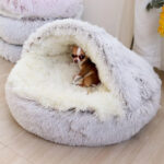 Chihuahua Cozy Nest Chihuahua Bed Chihuahua Shop