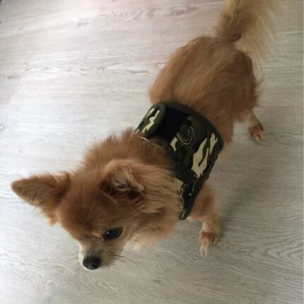 Chihuahua Vest Harnessdog shop online shop chuhahuapro.com