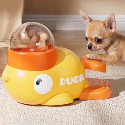 Interactive Chihuahua Feeder