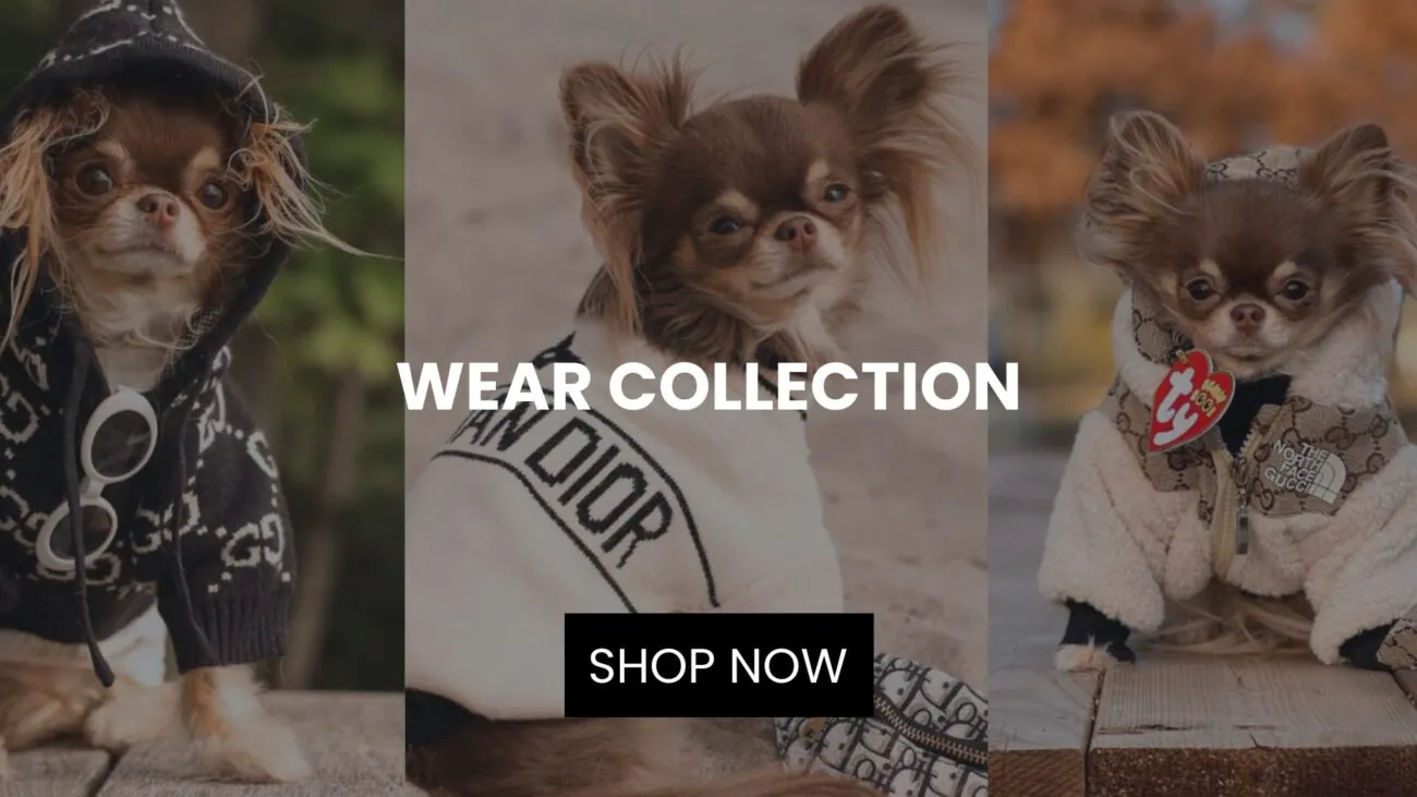Chihuahua Shop Official Wear Collection