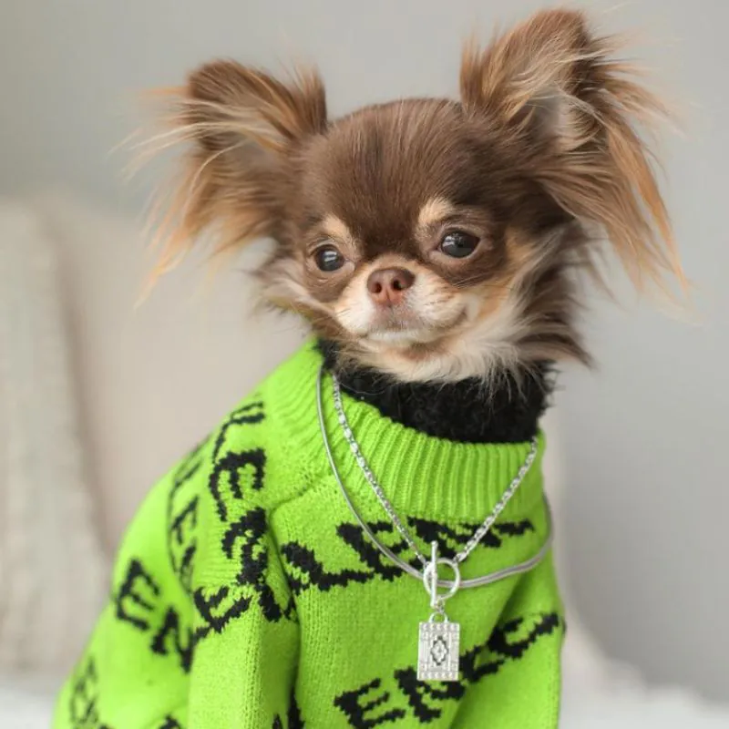 Balenca Green Chihuahua Sweater