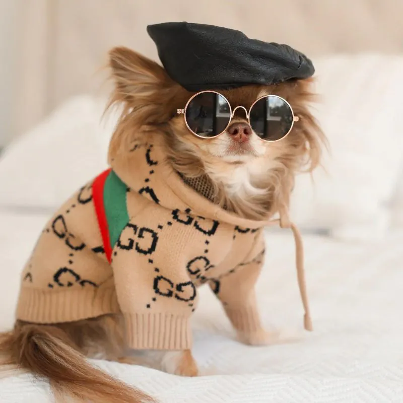 Chichi Soft Hoodie Chichi Soft Sweater Chihuahua Sweater fashion,soft,comfortable