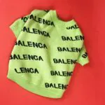Balenca Green Chihuahua Sweater - Image 3