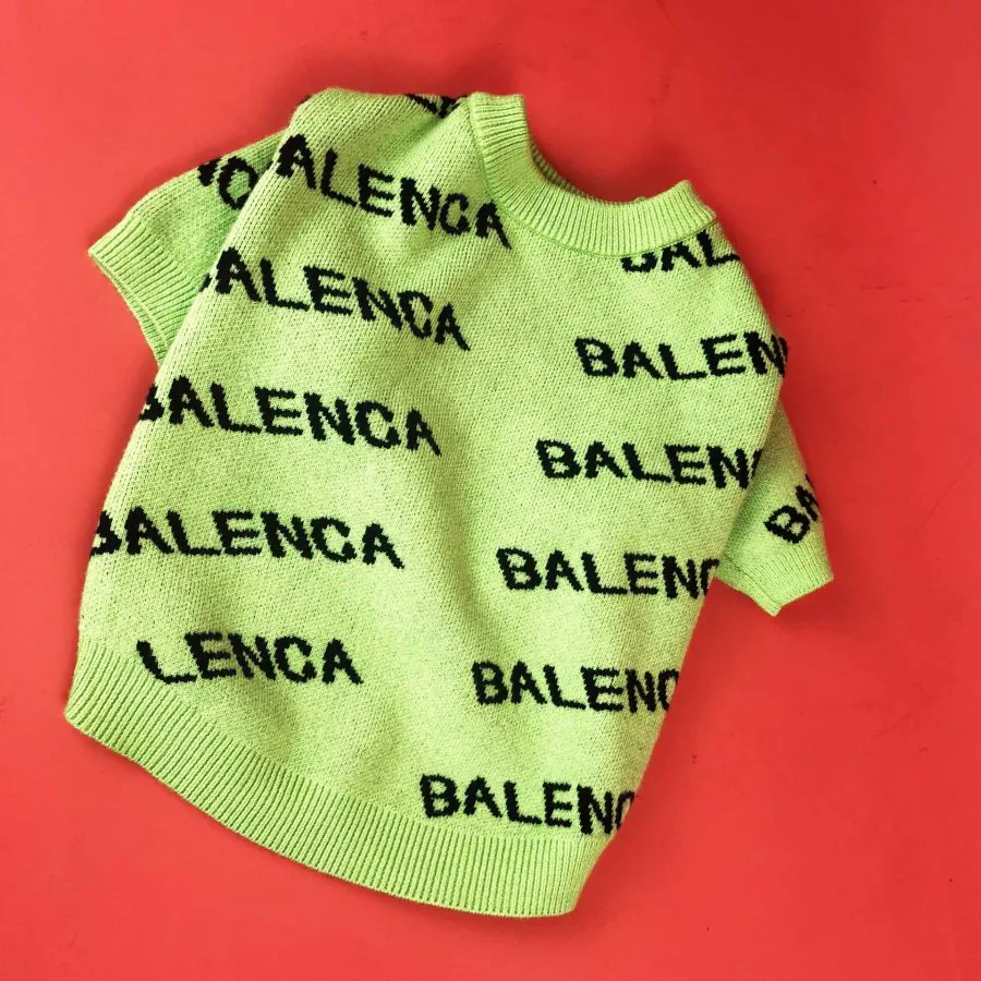 Balenca Green Chihuahua Sweater - Image 3