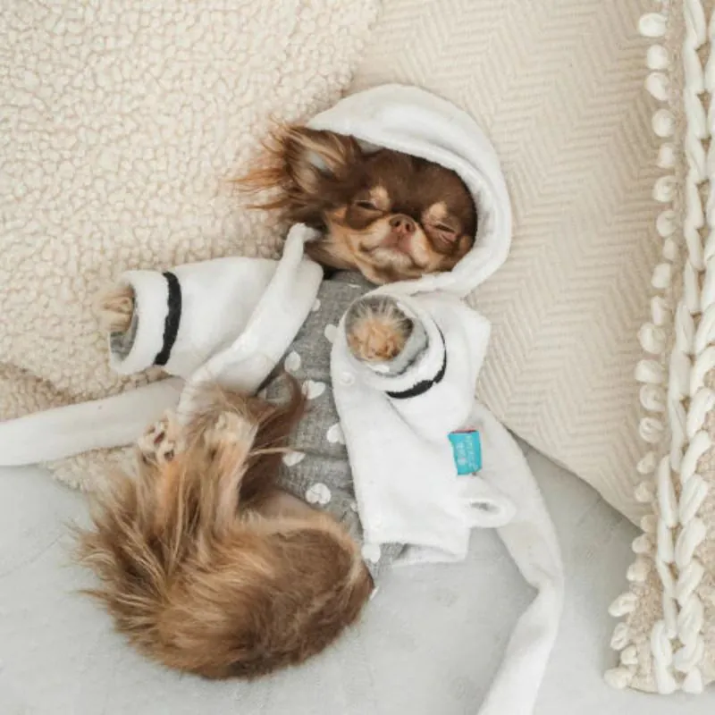 "This Dog Loves Sleep” Chihuahua Bathrobe
