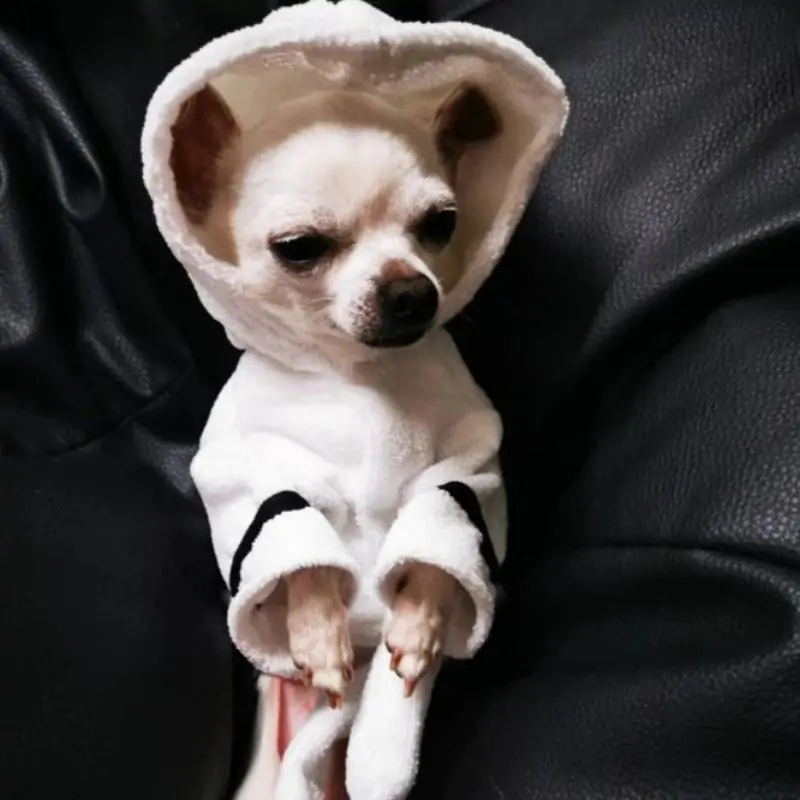 "This Dog Loves Sleep” Chihuahua Bathrobe