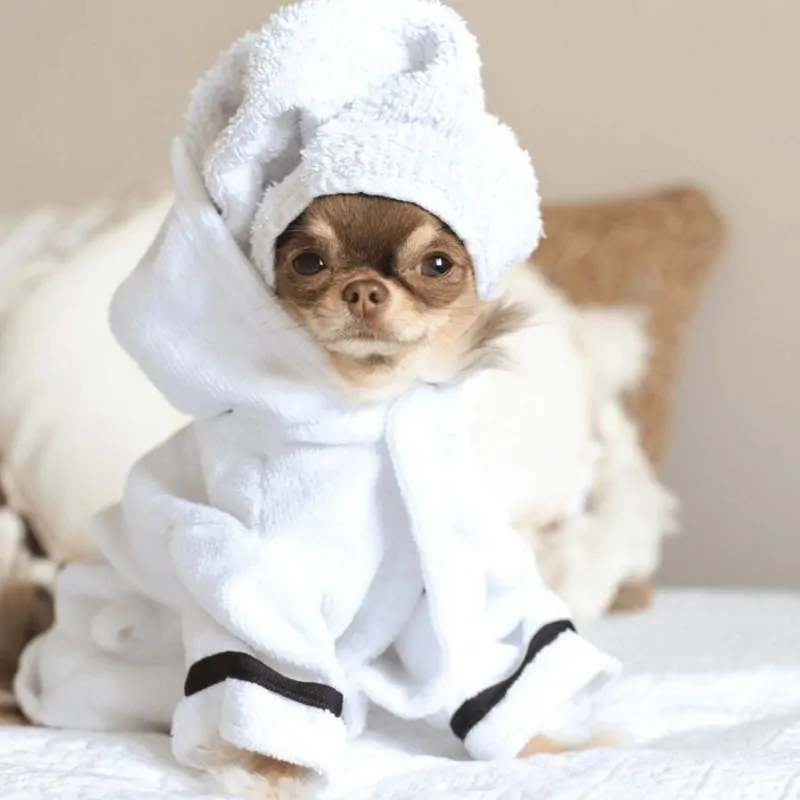 "This Dog Loves Sleep” Chihuahua Bathrobe