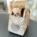 Luxury Transporter Chihuahua Carrier - Image 6