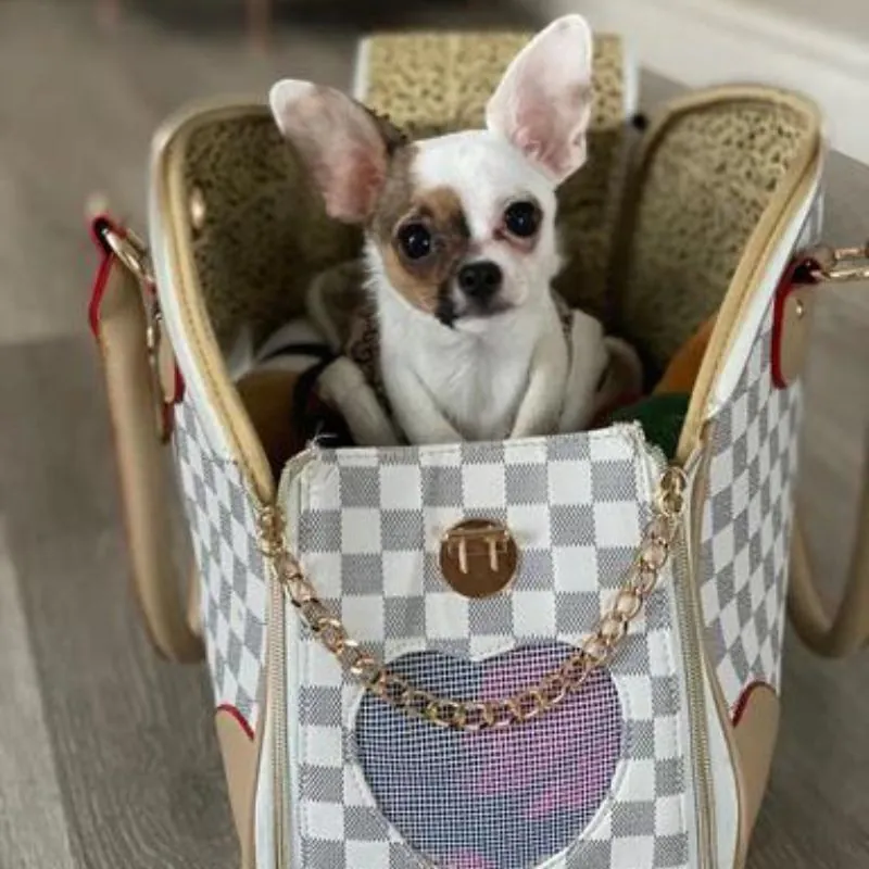 Luxury Transporter Chihuahua Carrier - Image 7