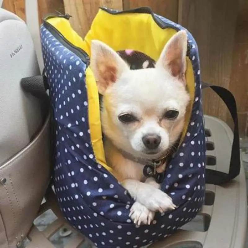 chihuahua-padded-travel-carrier-chihuahua-pro-shop-1 Explore our Chihuahua Padded Travel Carrier and more at our site. Everything your Chihuahua needs in one place. Visit us now for top-quality products!