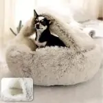 Chihuahua Cozy Nest - Image 10