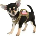 Adjustable Molle Military Hunting Harness