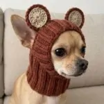 Chihuahua Bear Snood Hat