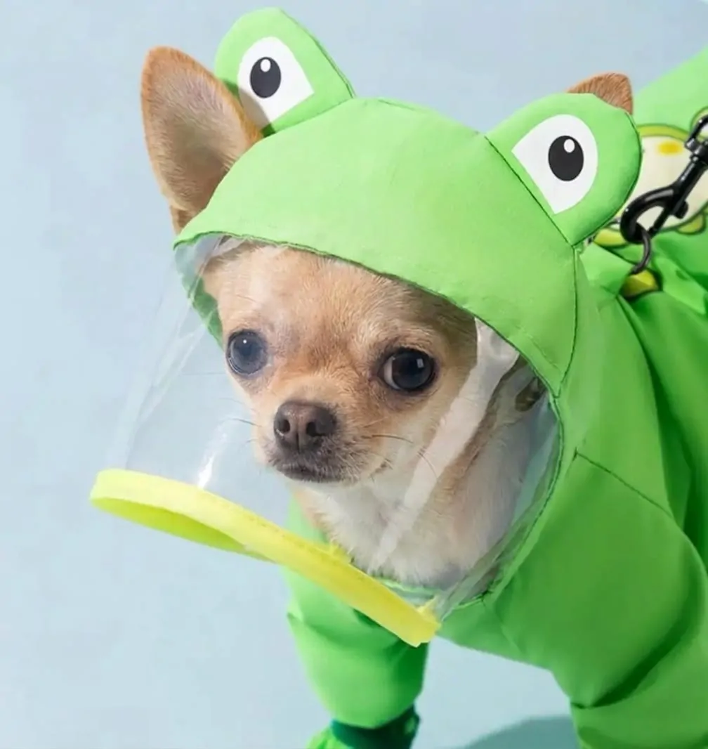 Chihuahua All-Weather Freedom Coat