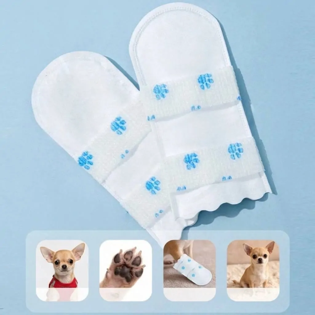 Chihuahua Protective Shoes