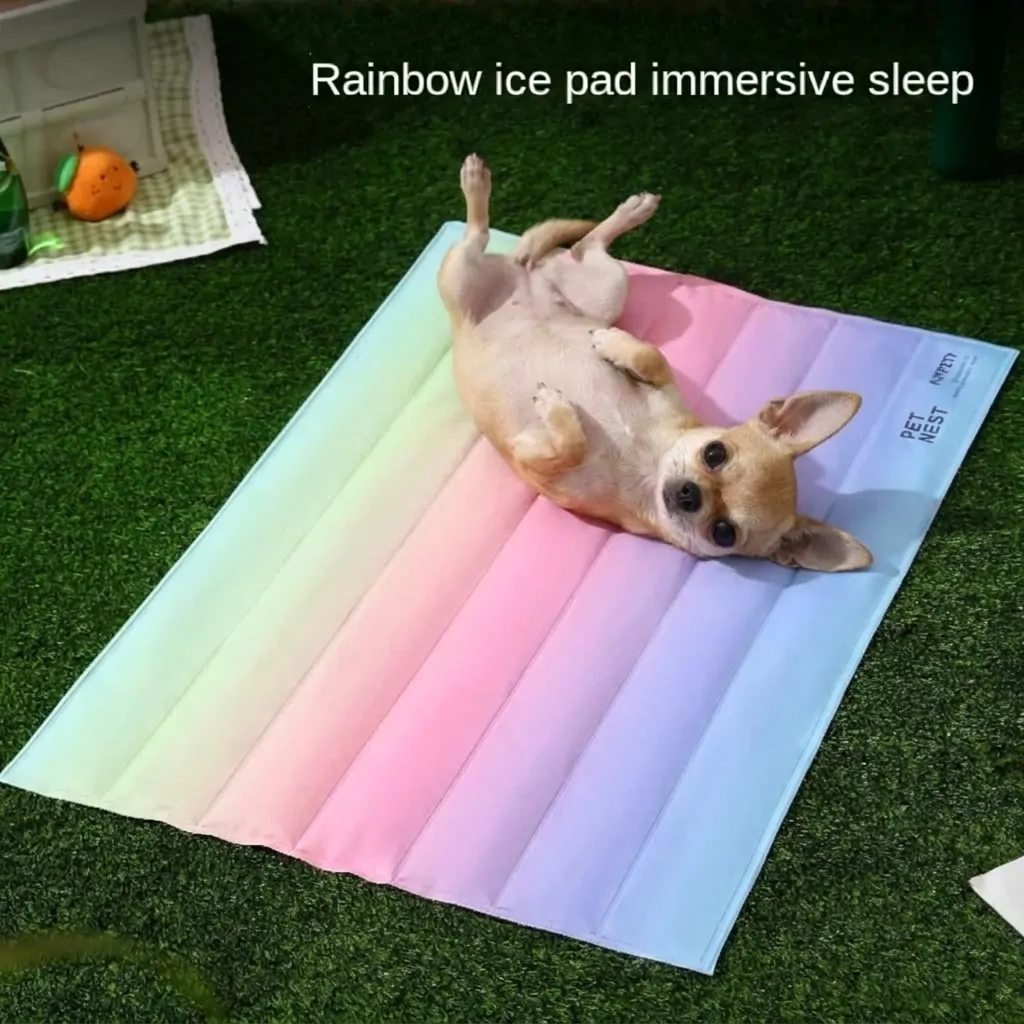 chihuahua-chihuahua-summer-cool-bed-01 Chihuahua Summer Cool Bed