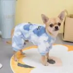 Windrhymepet Chihuahua Cozy Overalls
