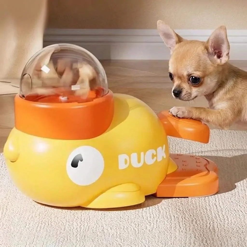 Interactive Chihuahua Feeder
