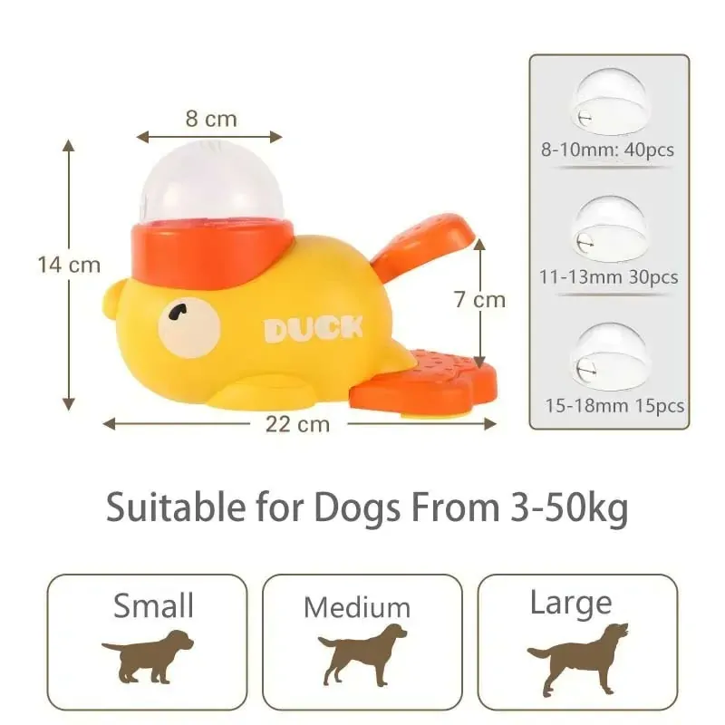 Interactive Chihuahua Feeder
