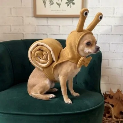 Chihuahua sitting on a velvet armchair in side profile, showing the rolled snail shell of the Chihuahua Snail Dog Costume